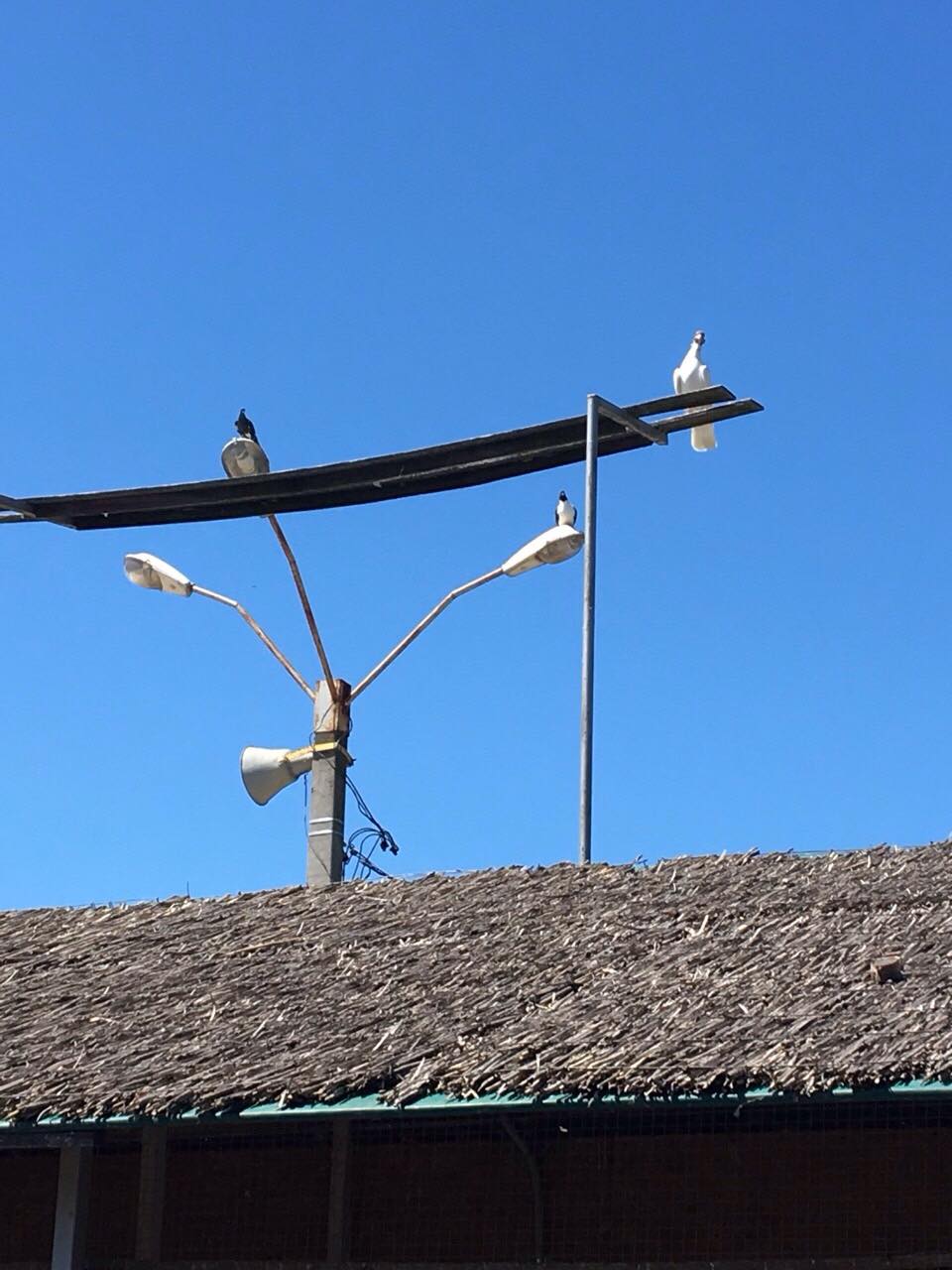 krajisnici putovanje (1).jpg