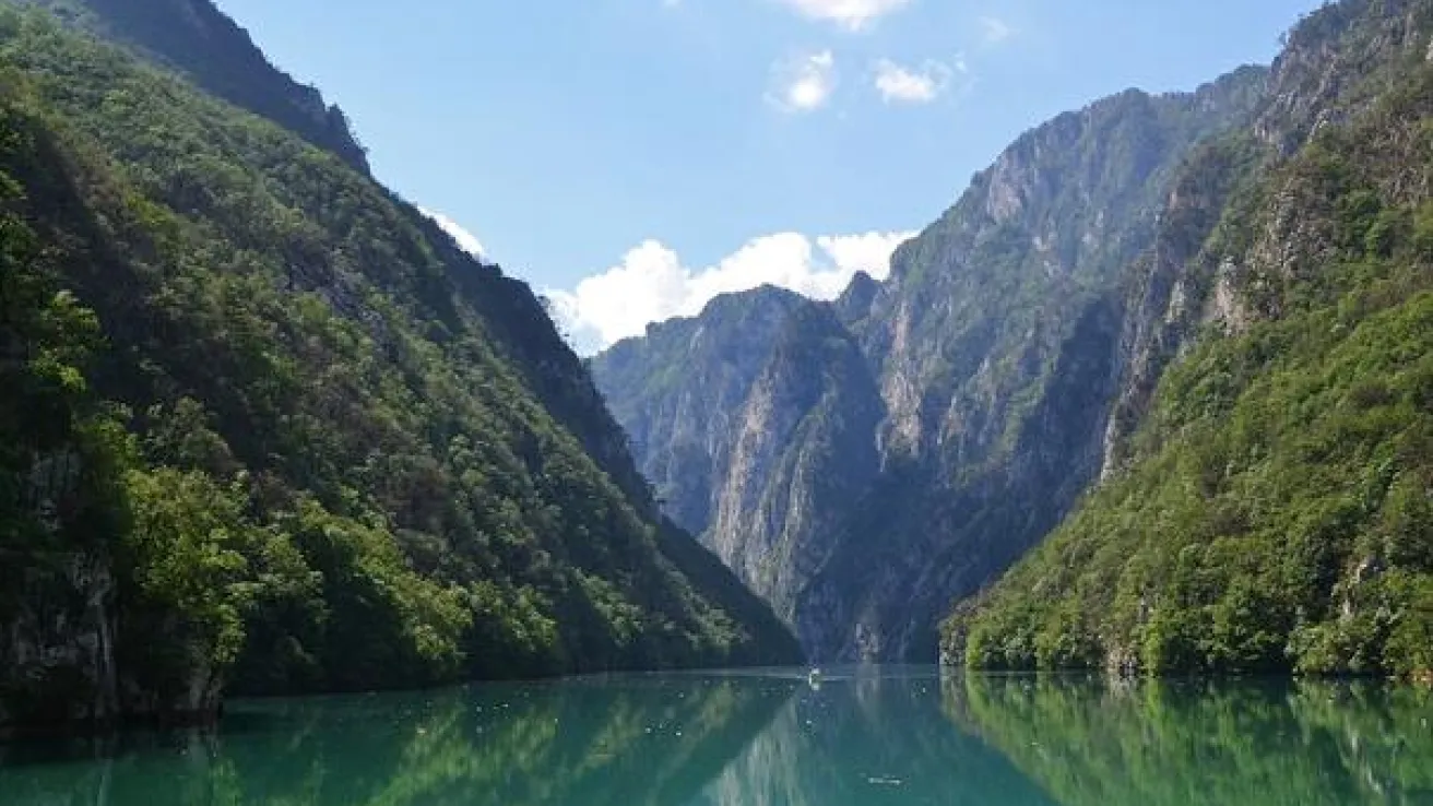 drina