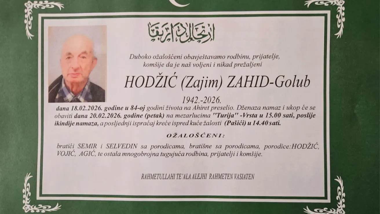Hodžić (Zajim) Zahid-Golub