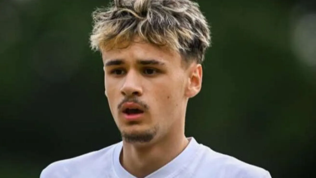 Kerim Alajbegović. Platforma X