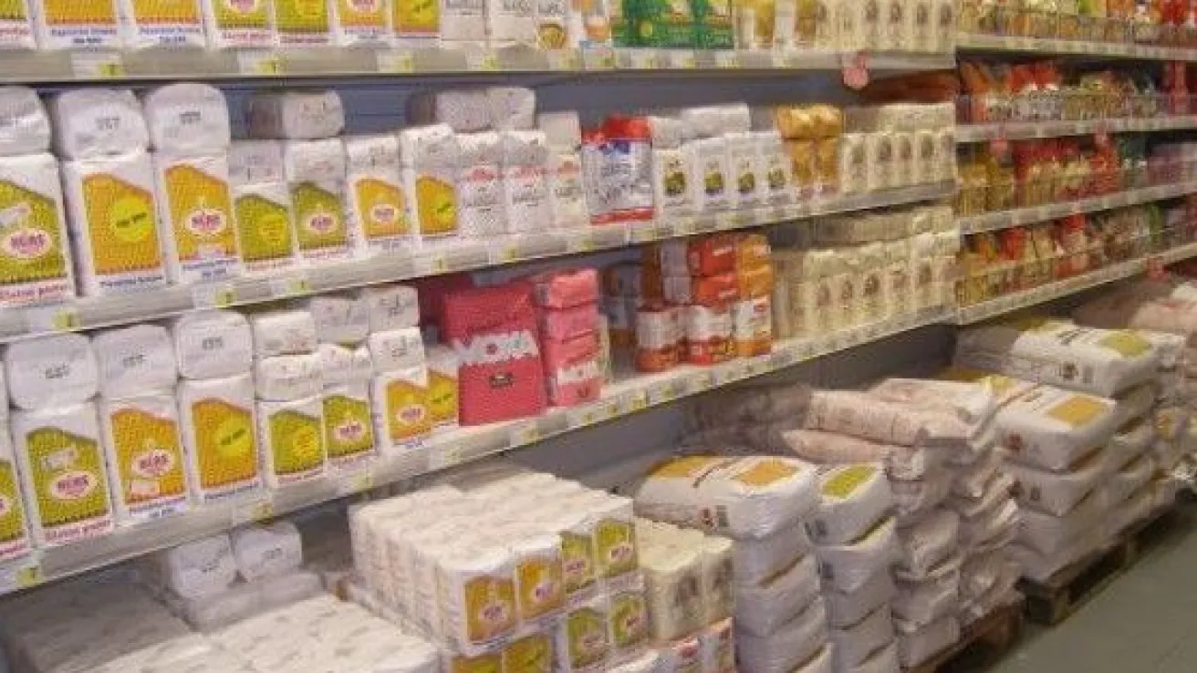 brasno platforma x.jpeg