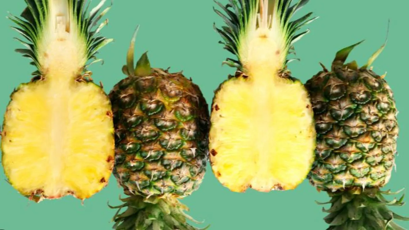 Ananas Screenshot