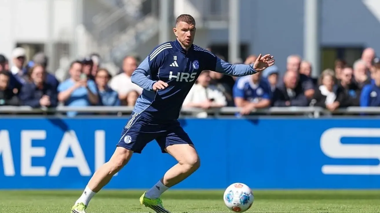 edin dzeko