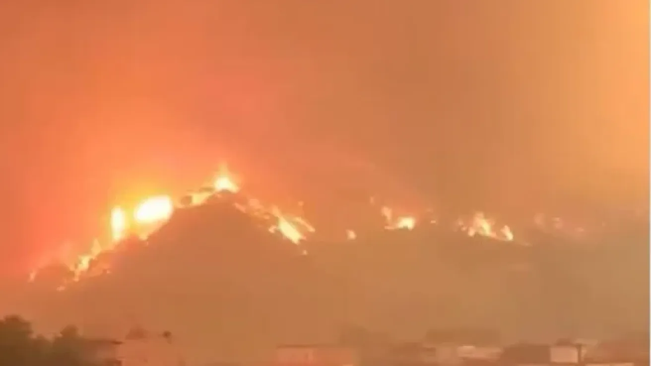 Alzir