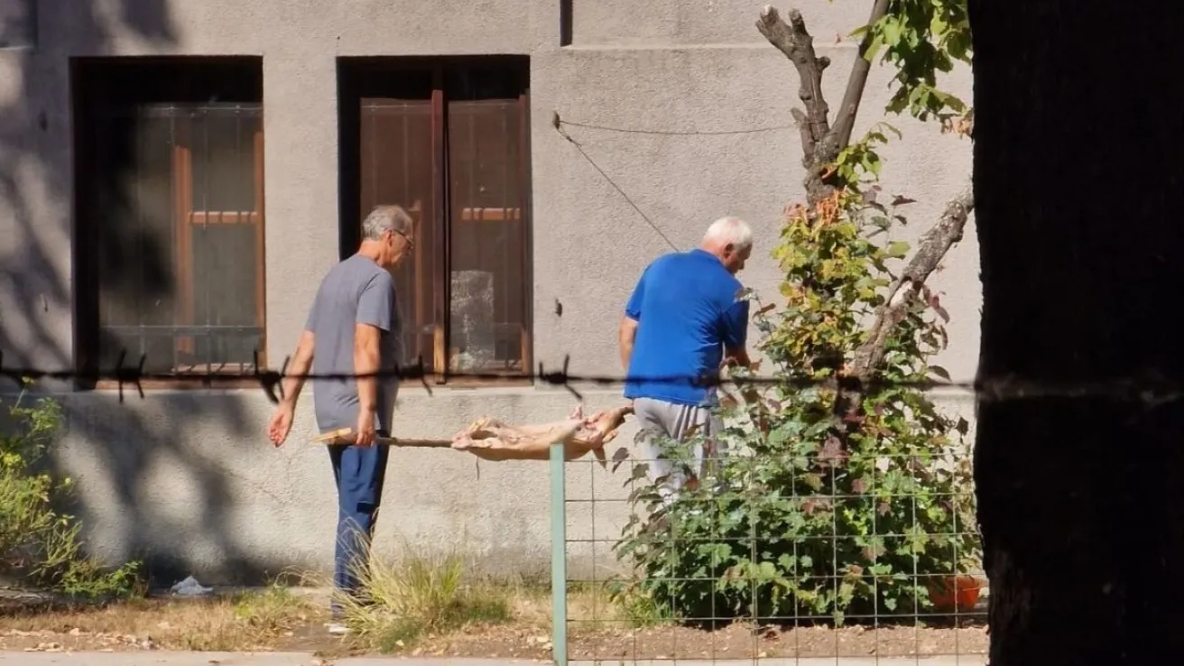 Foto citatelj