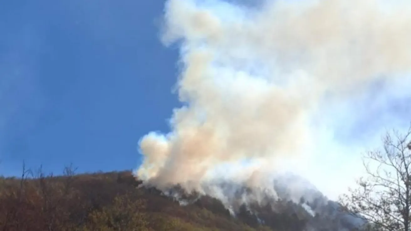 čvrsnica