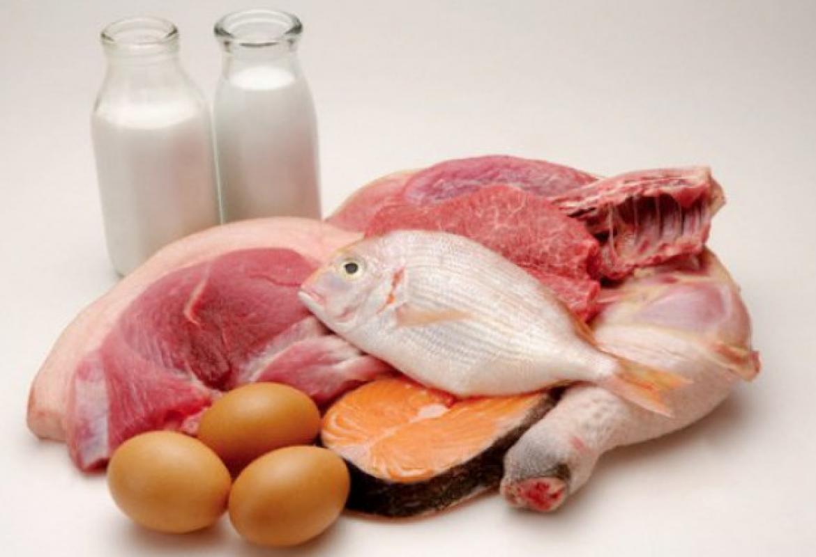 Белок мяса птицы. Мясо рыба яйца. Мясо молоко яйца. Мясо рыба молоко. Животные белки продукты.
