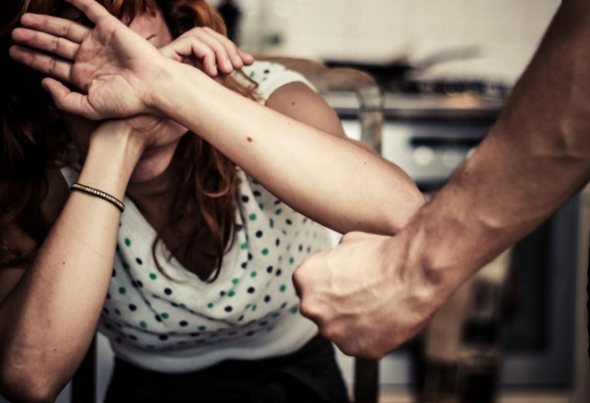 Nasilje u porodici