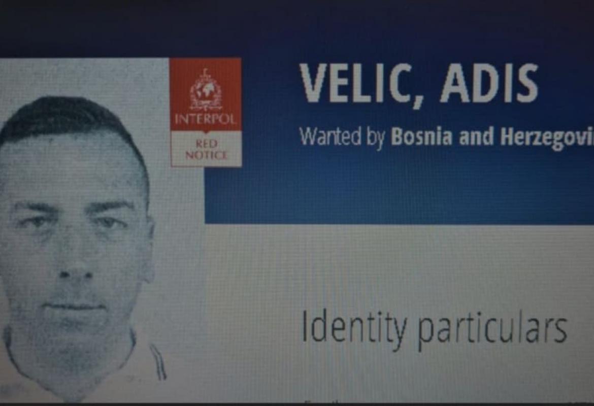 Adis Velić