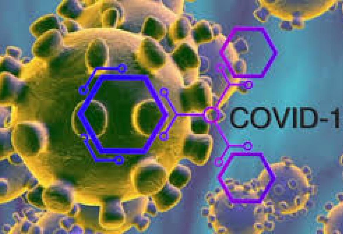 koronavirus FBiH