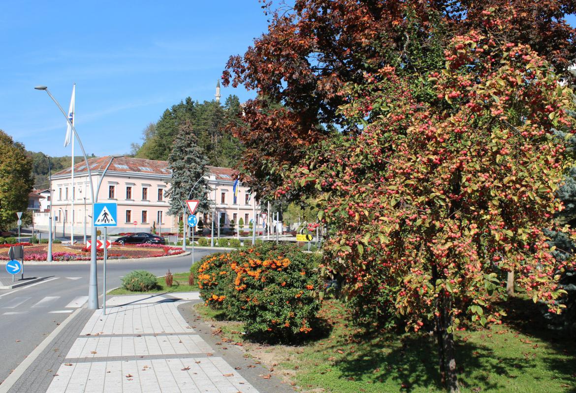 Oštećenje tuđe stvari te dvije saobraćajke u Cazinu