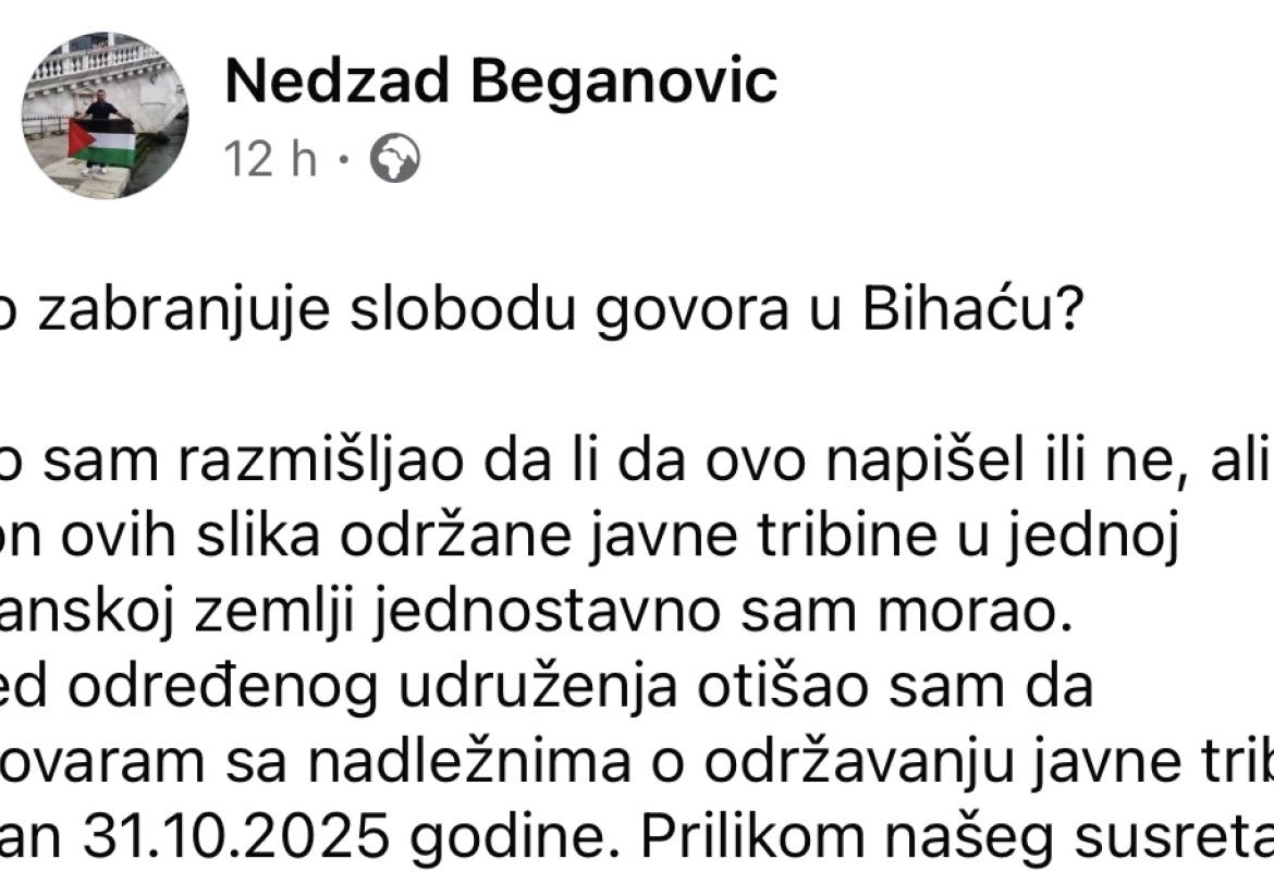 Nedzad beganovic