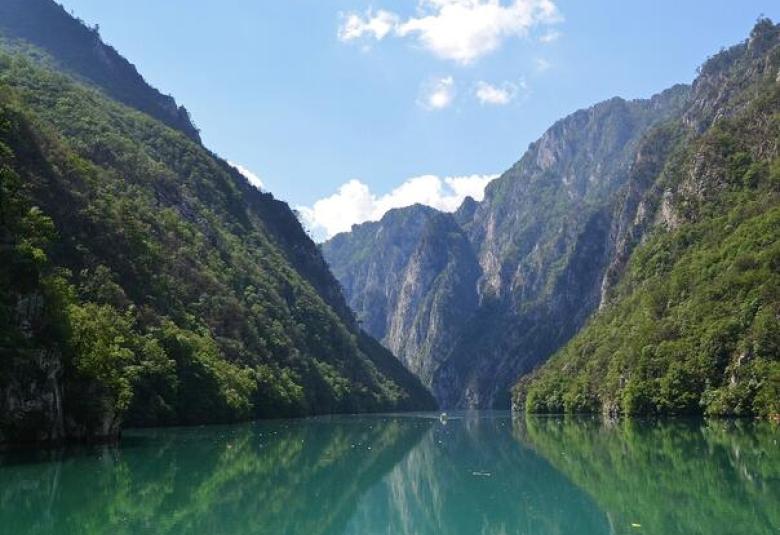 drina