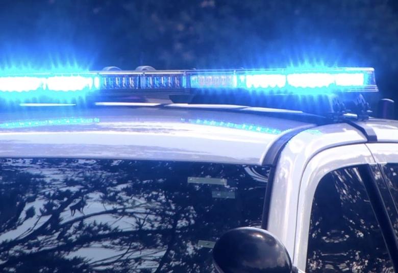 Ilustracija policija