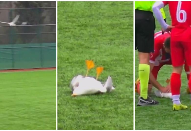 Nesvakida&scaron;nji incident. Platforma X