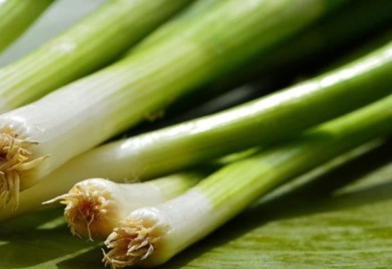 mladi luk . Screenshot.jpeg