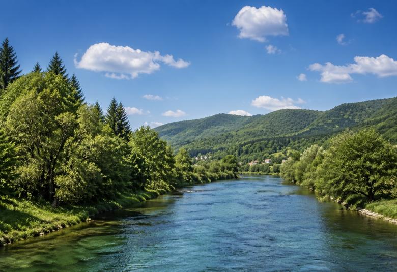 Ilustracija Cazinnet