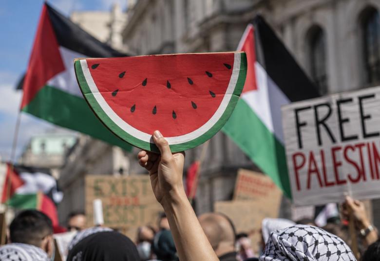 Lubenica Palestina ilustracija cazin net