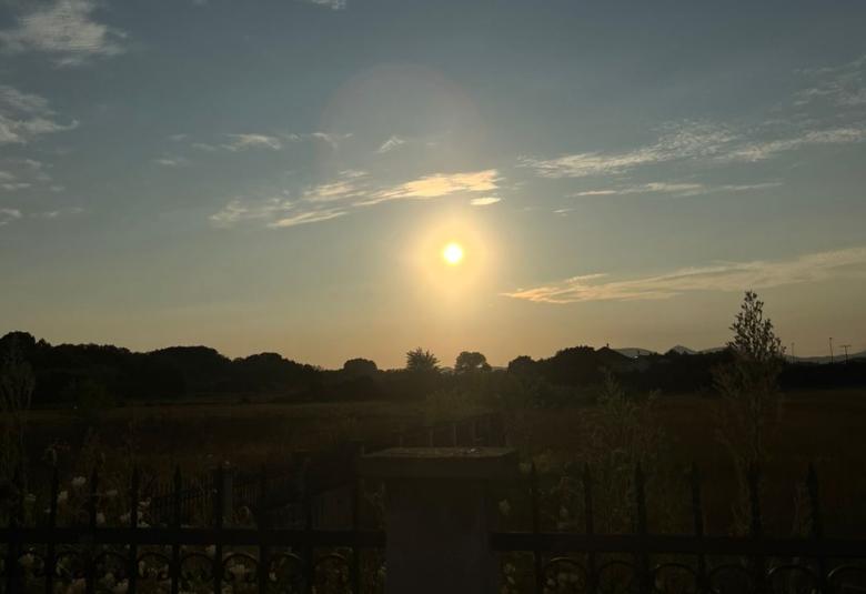 sunce