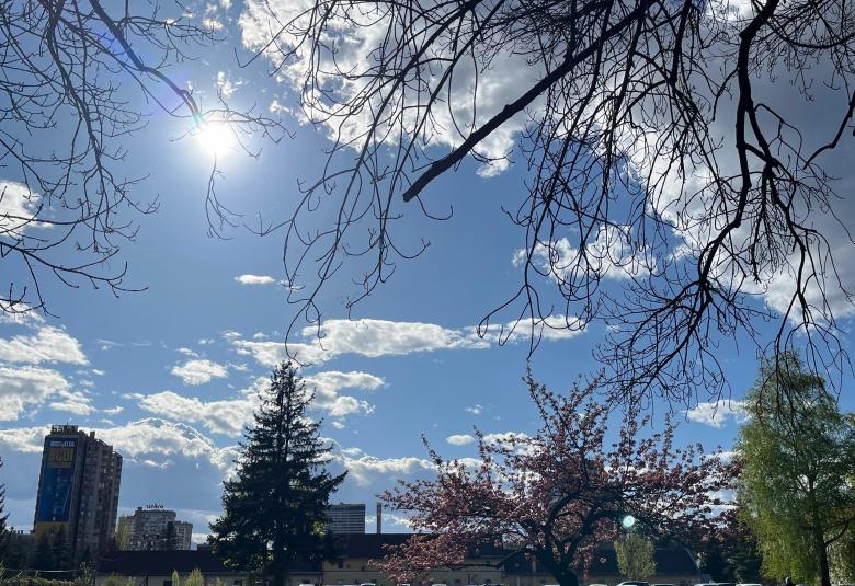sunce