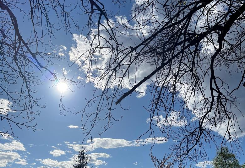 sunce