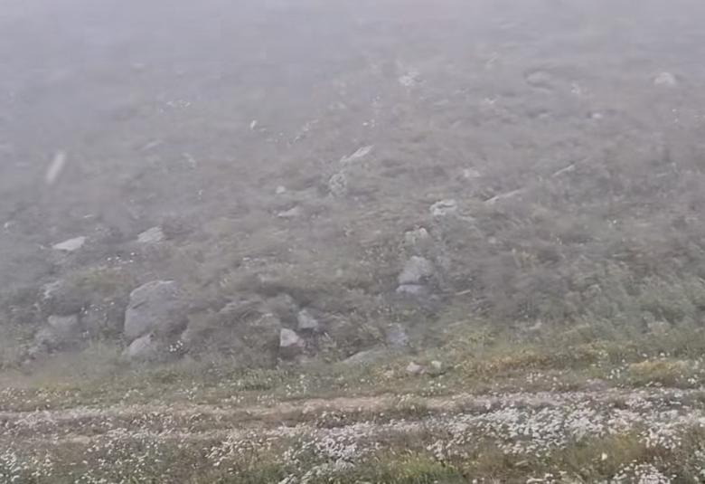 Bh meteo
