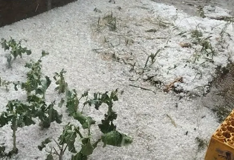 Bh meteo