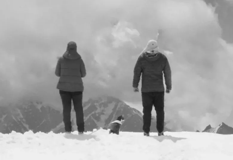 Planina