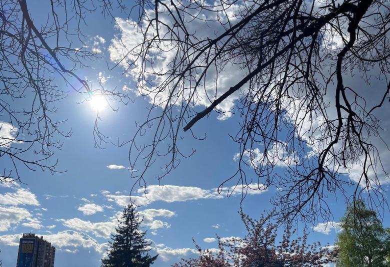 sunce