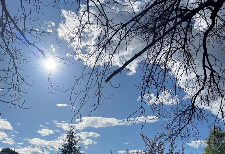 sunce