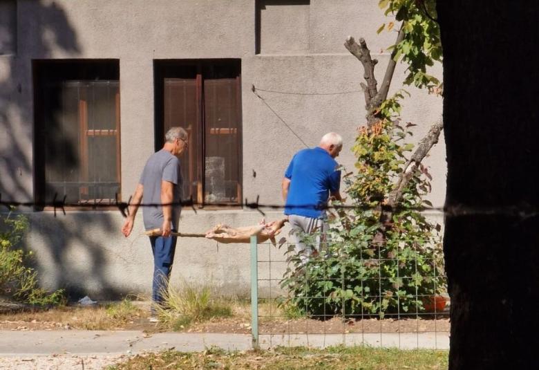Foto citatelj