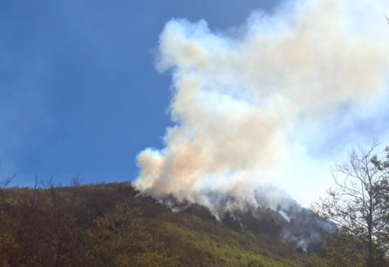 čvrsnica