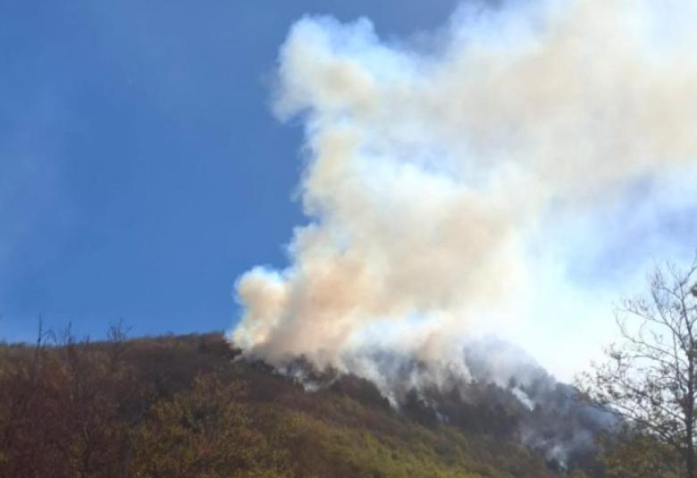 čvrsnica