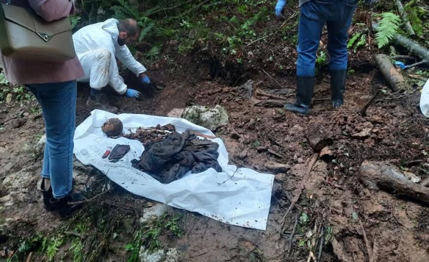 skelet institust za nestale