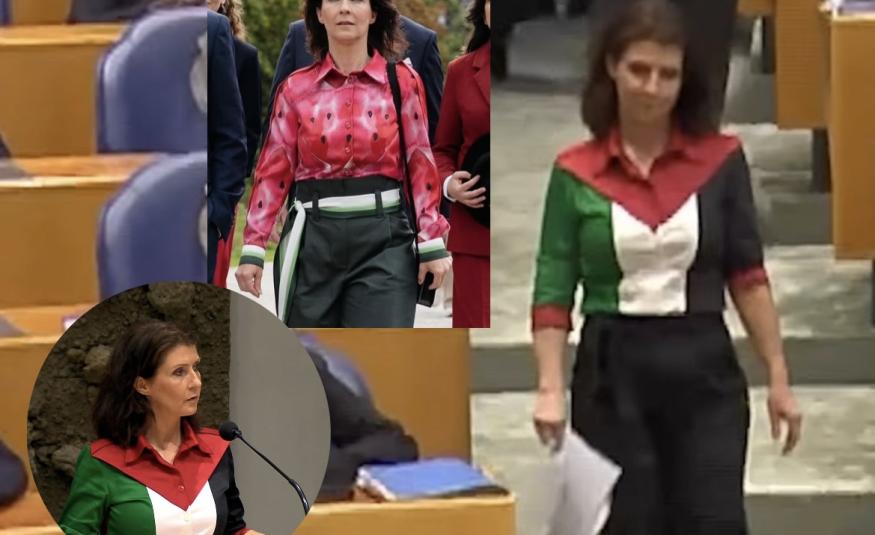 Zastupnica nizozemske