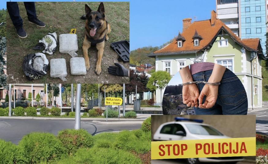 Ilustracija Cazinnet