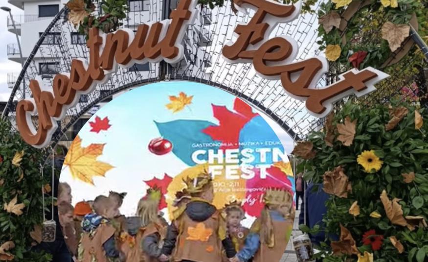 Feszuval kestena cazin