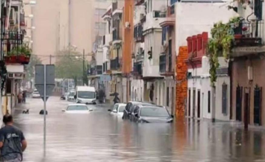 Polave spanija platforma X