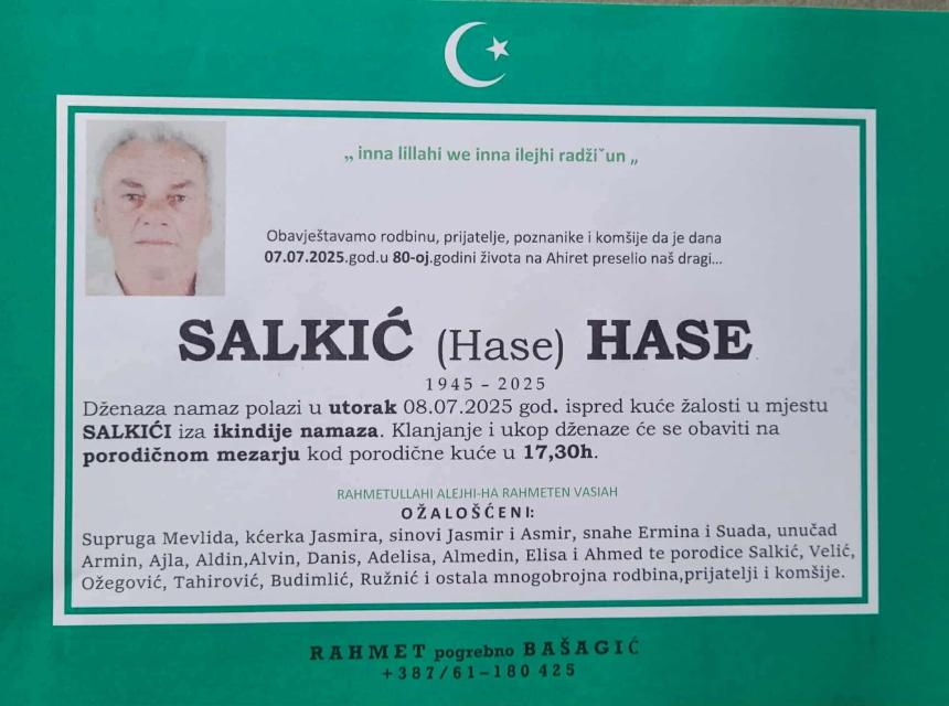 Salkic Hase 
