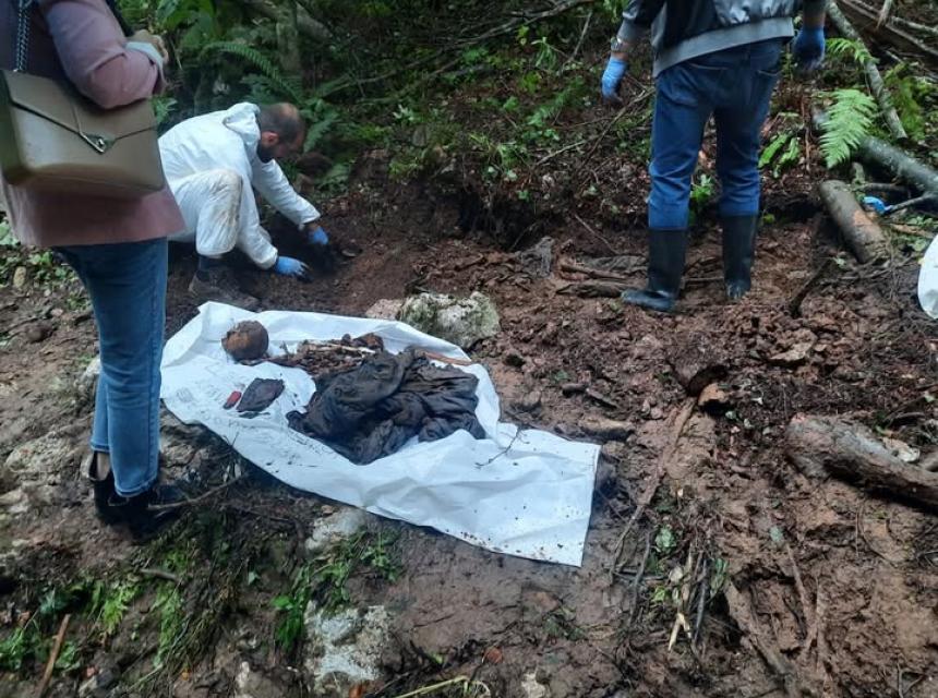 skelet institust za nestale