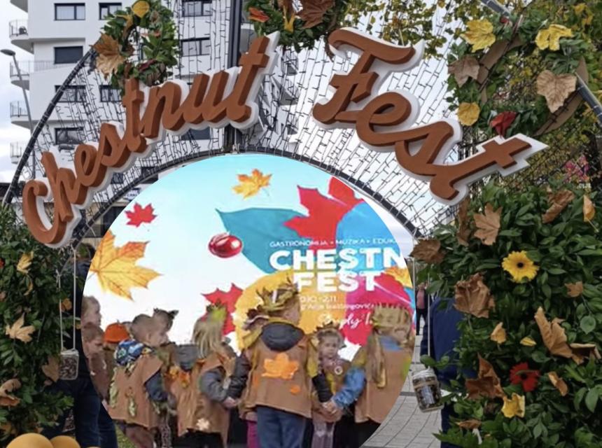 Feszuval kestena cazin