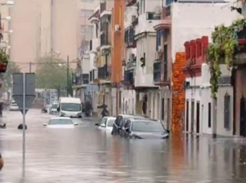 Polave spanija platforma X