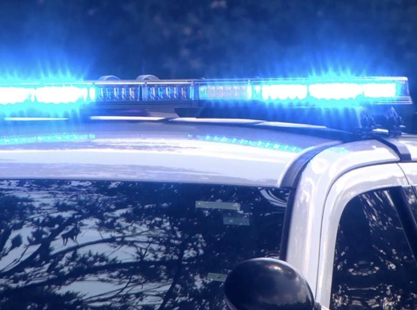 Ilustracija policija