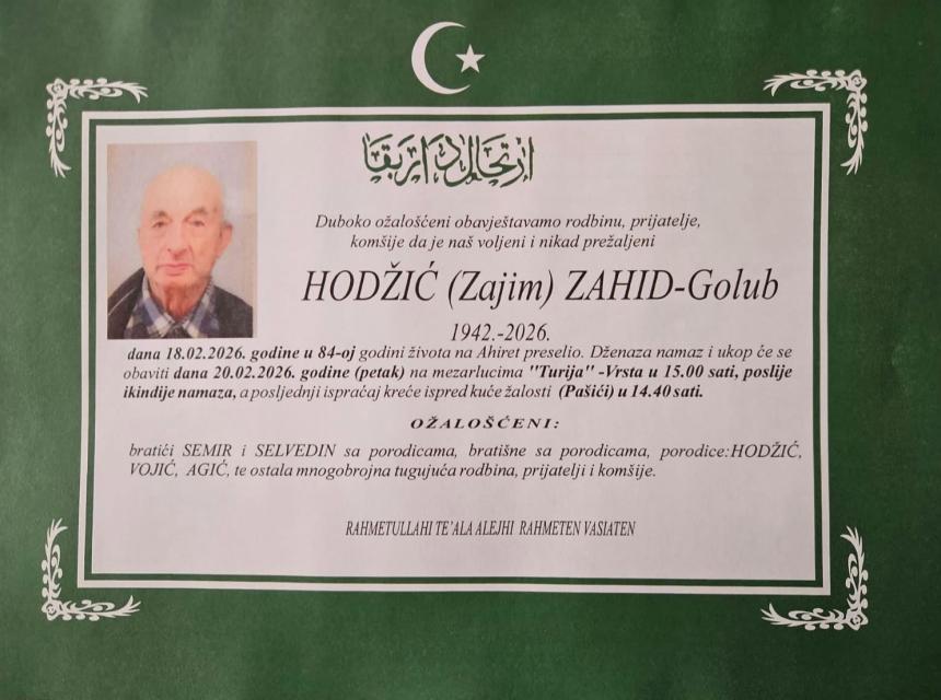 Hodžić (Zajim) Zahid-Golub