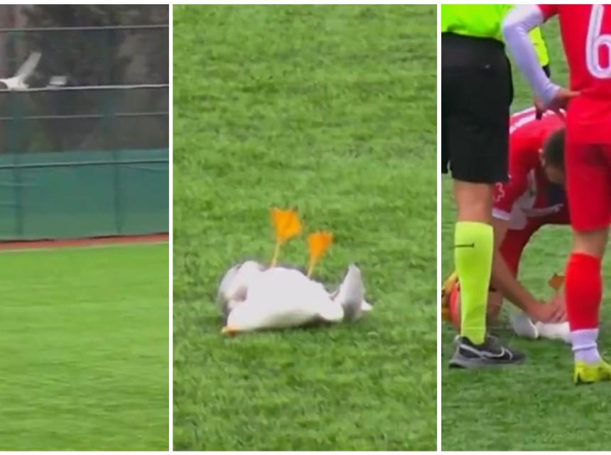 Nesvakida&scaron;nji incident. Platforma X