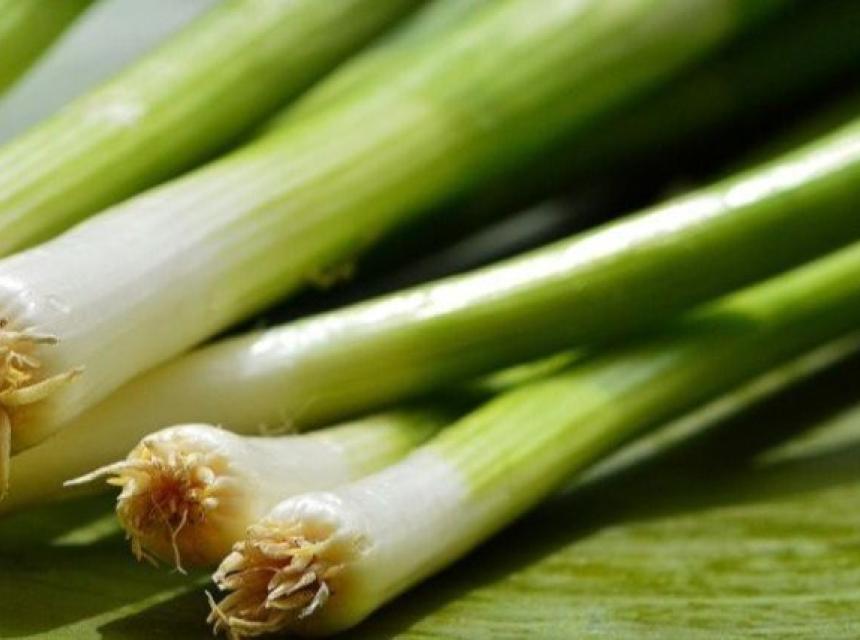 mladi luk . Screenshot.jpeg