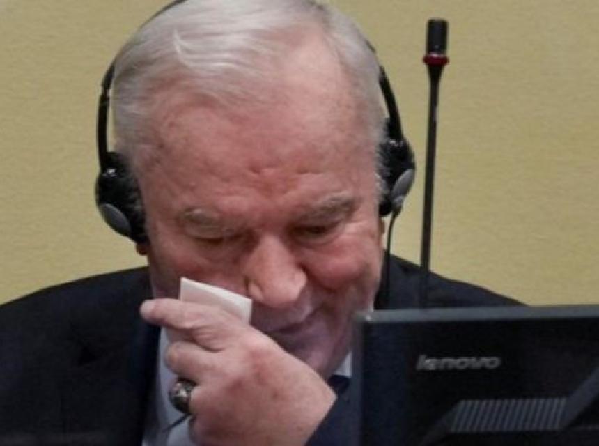 Ratko Mladić. Platforma X