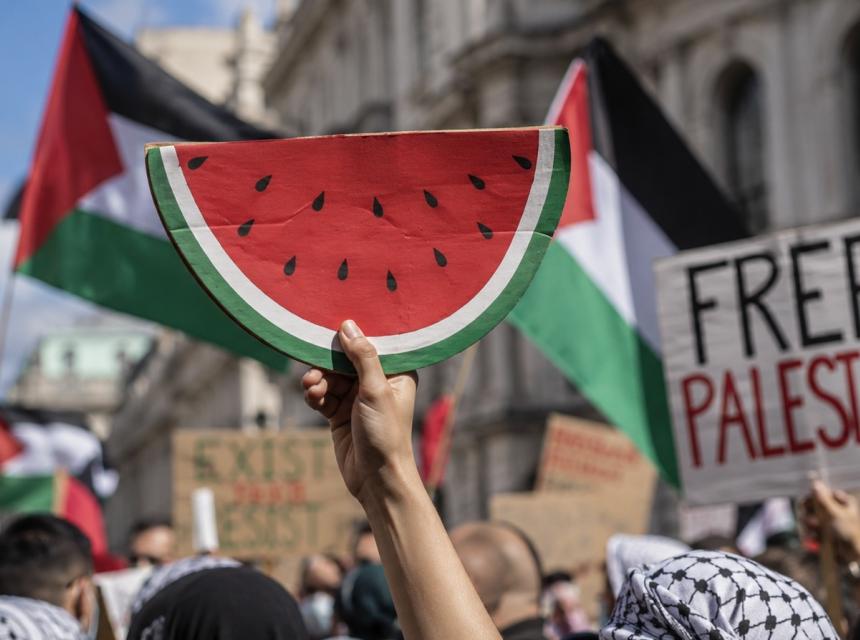 Lubenica Palestina ilustracija cazin net