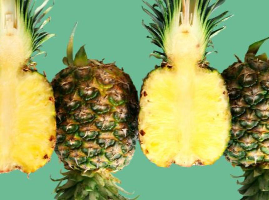 Ananas Screenshot