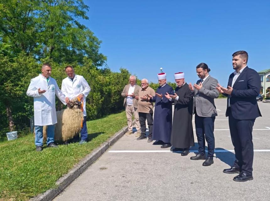 Medresa cazin